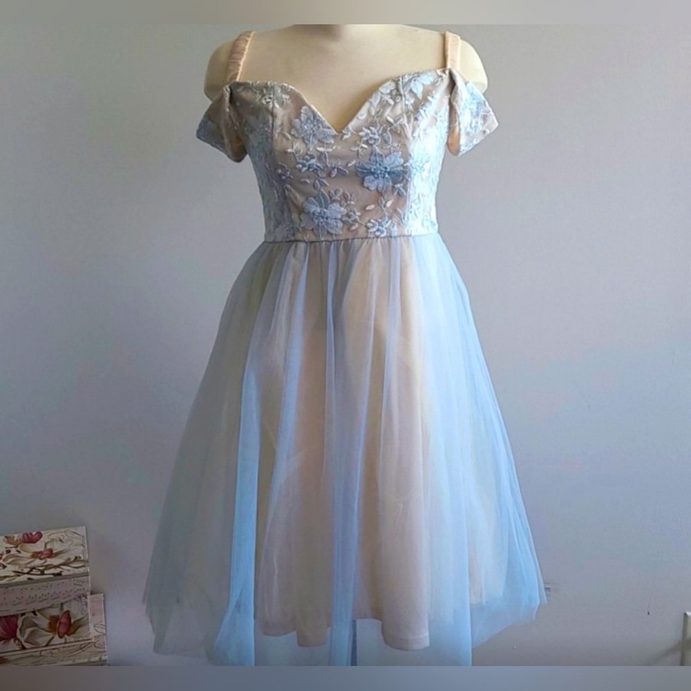 Boutique 1861 Tulle Dress